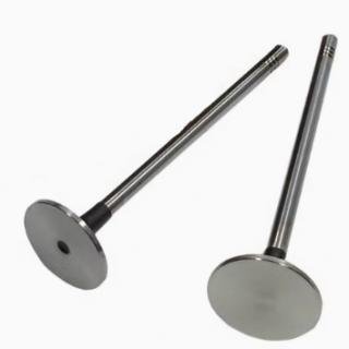 Engine valves